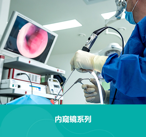 内窥镜-1